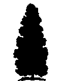 すぎ
