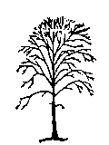とち