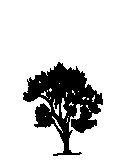 ずみ